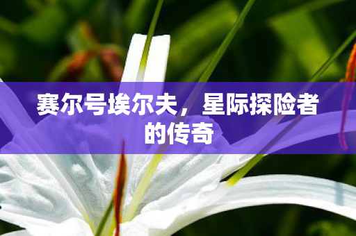 星际探险者的传奇图片
