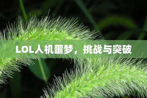 LOL人机噩梦图片