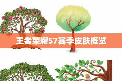 王者荣耀S7赛季皮肤概览图片