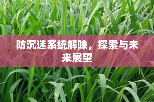 防沉迷系统解除图片