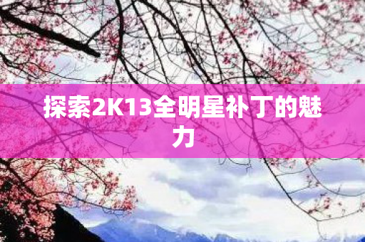 探索2K13全明星补丁的魅力图片