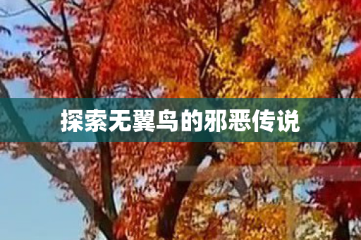 探索无翼鸟的邪恶传说图片