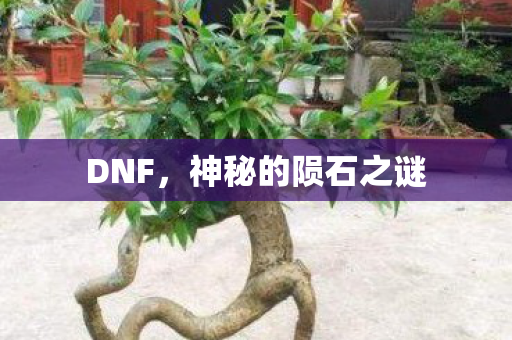 神秘的陨石之谜图片