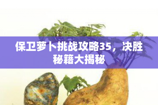 保卫萝卜挑战攻略35图片