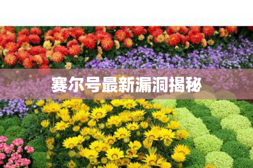 赛尔号最新漏洞揭秘图片