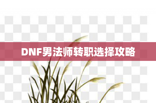 DNF男法师转职选择攻略图片