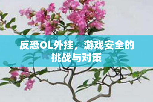 游戏安全的挑战与对策图片