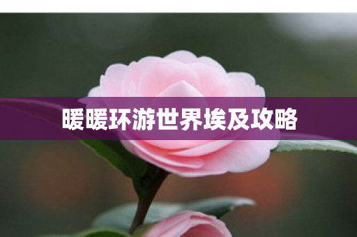 暖暖环游世界埃及攻略图片