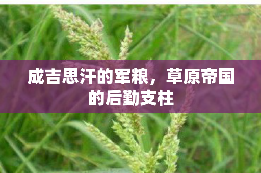 草原帝国的后勤支柱图片