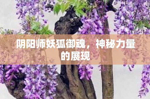 阴阳师妖狐御魂图片