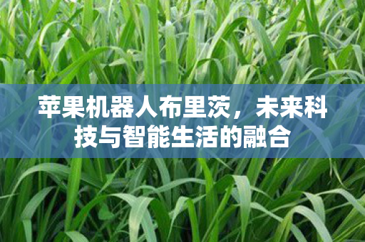 未来科技与智能生活的融合图片