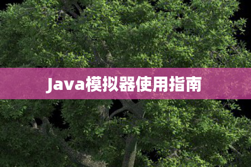 Java模拟器使用指南图片