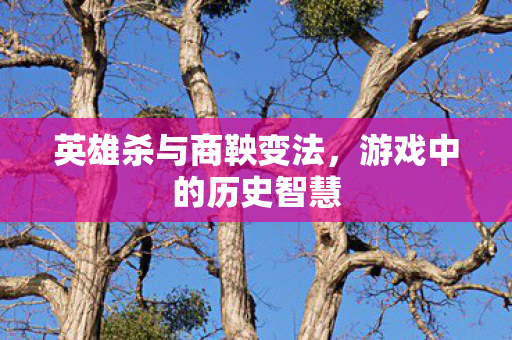 英雄杀与商鞅变法图片