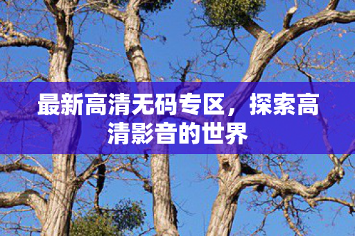 探索高清影音的世界图片