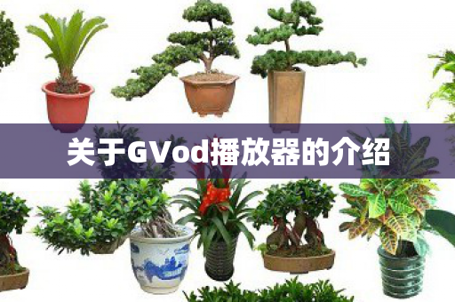 关于GVod播放器的介绍图片