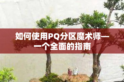 如何使用PQ分区魔术师图片