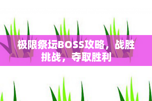 极限祭坛BOSS攻略图片
