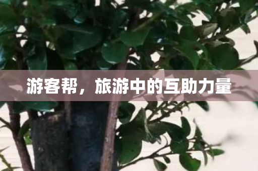 旅游中的互助力量图片