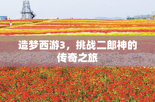 挑战二郎神的传奇之旅图片