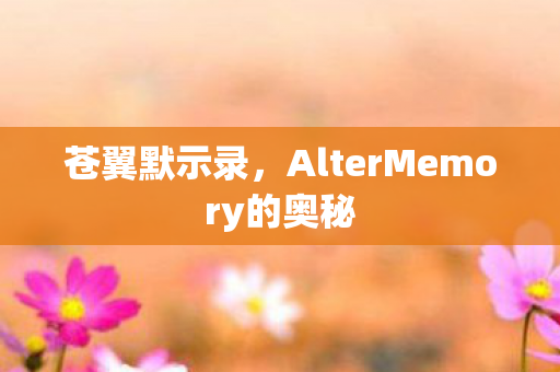 AlterMemory的奥秘图片