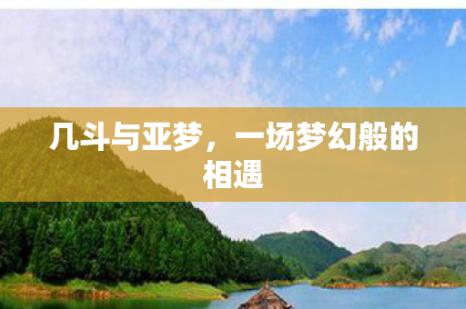 一场梦幻般的相遇图片