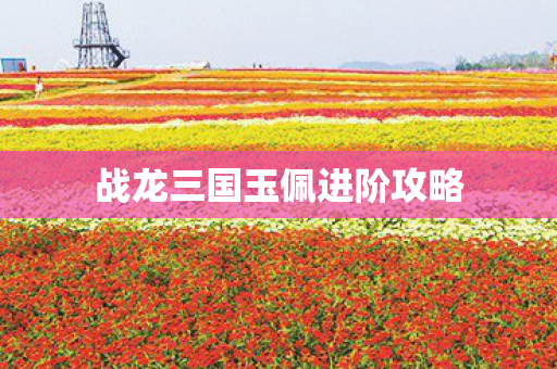 战龙三国玉佩进阶攻略图片