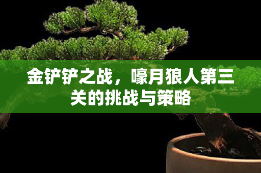 嚎月狼人第三关的挑战与策略图片