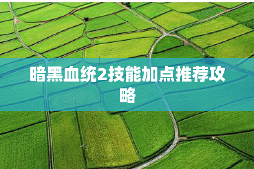 暗黑血统2技能加点推荐攻略图片