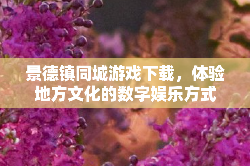 体验地方文化的数字娱乐方式图片