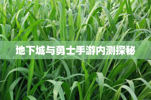 地下城与勇士手游内测探秘图片