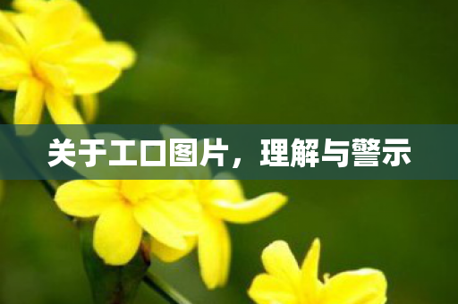 关于工口图片图片