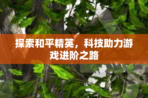 科技助力游戏进阶之路图片