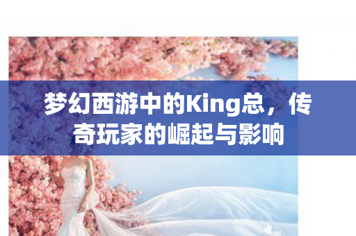 梦幻西游中的King总图片