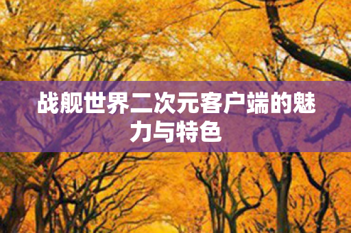 战舰世界二次元客户端的魅力与特色图片