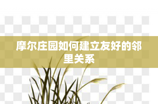 摩尔庄园如何建立友好的邻里关系图片