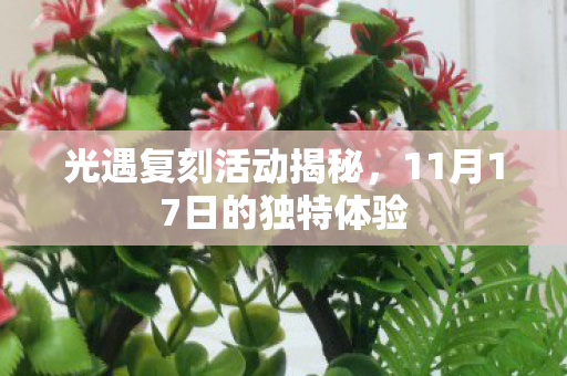 11月17日的独特体验图片