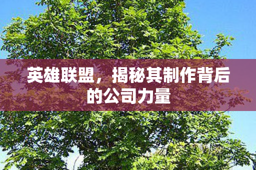 揭秘其制作背后的公司力量图片