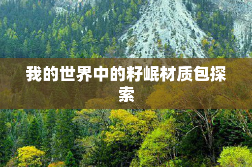 我的世界中的籽岷材质包探索图片