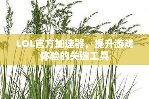 提升游戏体验的关键工具图片