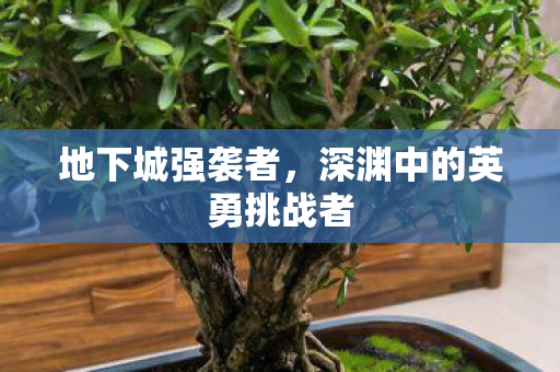 深渊中的英勇挑战者图片