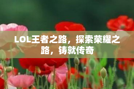 LOL王者之路图片