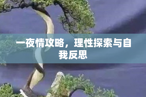 理性探索与自我反思图片