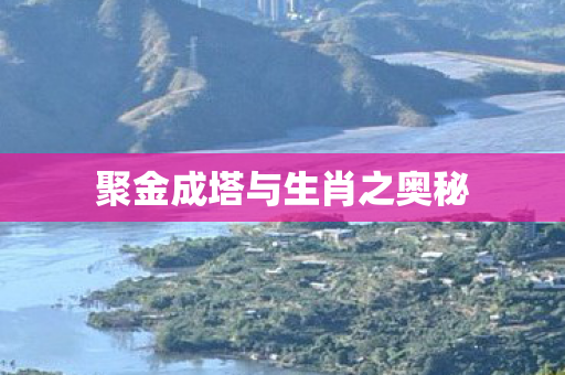 聚金成塔与生肖之奥秘图片