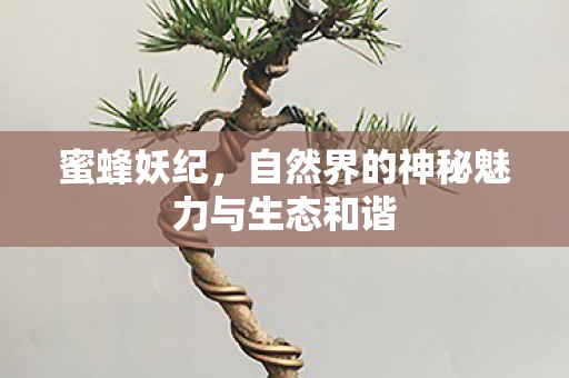 自然界的神秘魅力与生态和谐图片