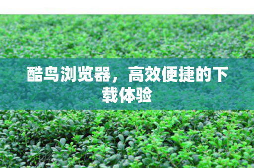 高效便捷的下载体验图片