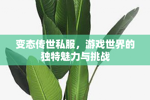 游戏世界的独特魅力与挑战图片