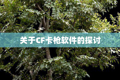 关于CF卡枪软件的探讨图片