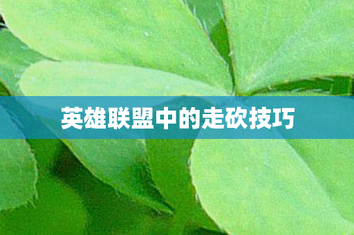 英雄联盟中的走砍技巧图片