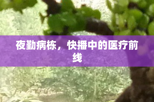 快播中的医疗前线图片