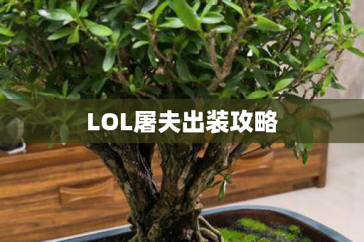 LOL屠夫出装攻略图片